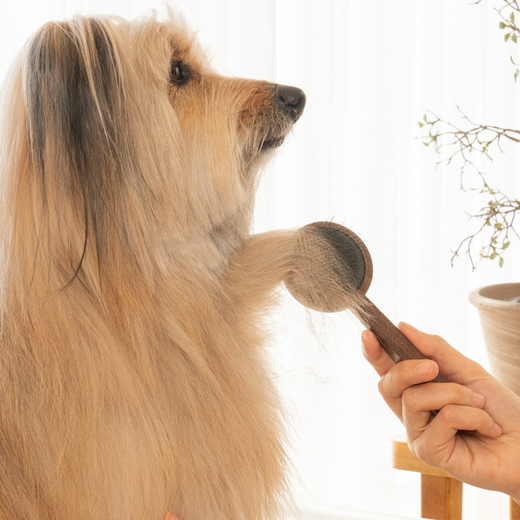 Woody Slicker Brush